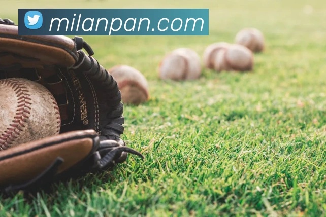 米兰milan官网APP 封面图